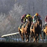 All-Weather Track Winning Approach